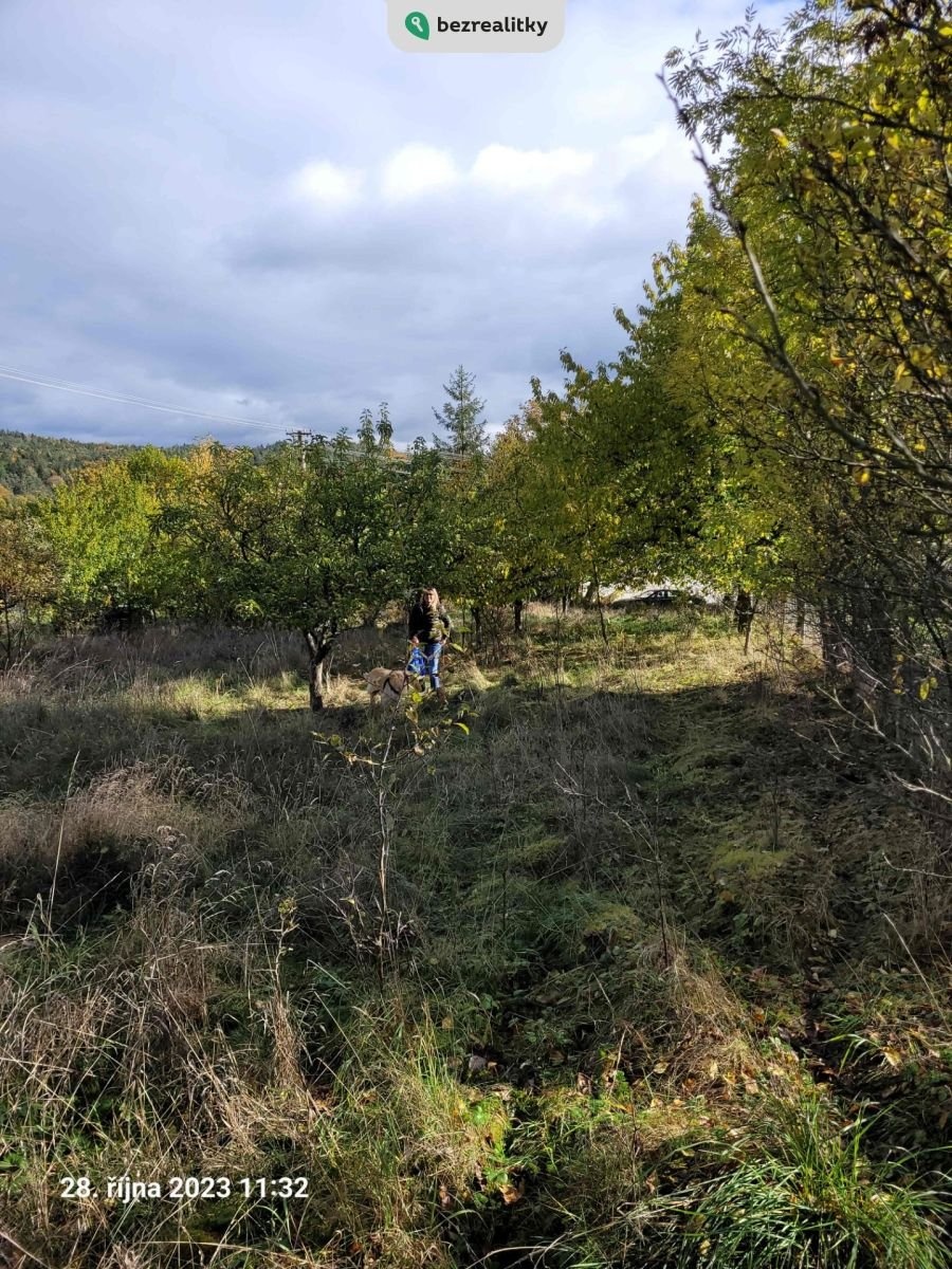 1723552407-vqtofxdtoa-20231028-113215