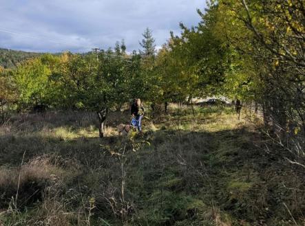 1723552407-vqtofxdtoa-20231028-113215 | Prodej - pozemek pro bydlení, 1 161 m²