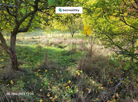 1723552414-rabbgcxfkb-20231028-113414 | Prodej - pozemek pro bydlení, 1 161 m²