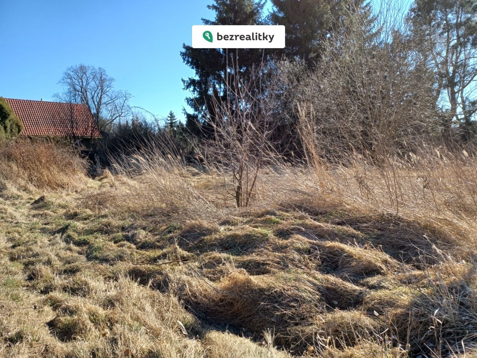 1769878565-wfrwxlmgvq-20220312-125756