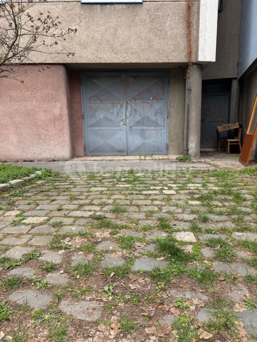 1743657924-iyjcvpidni-img-7383