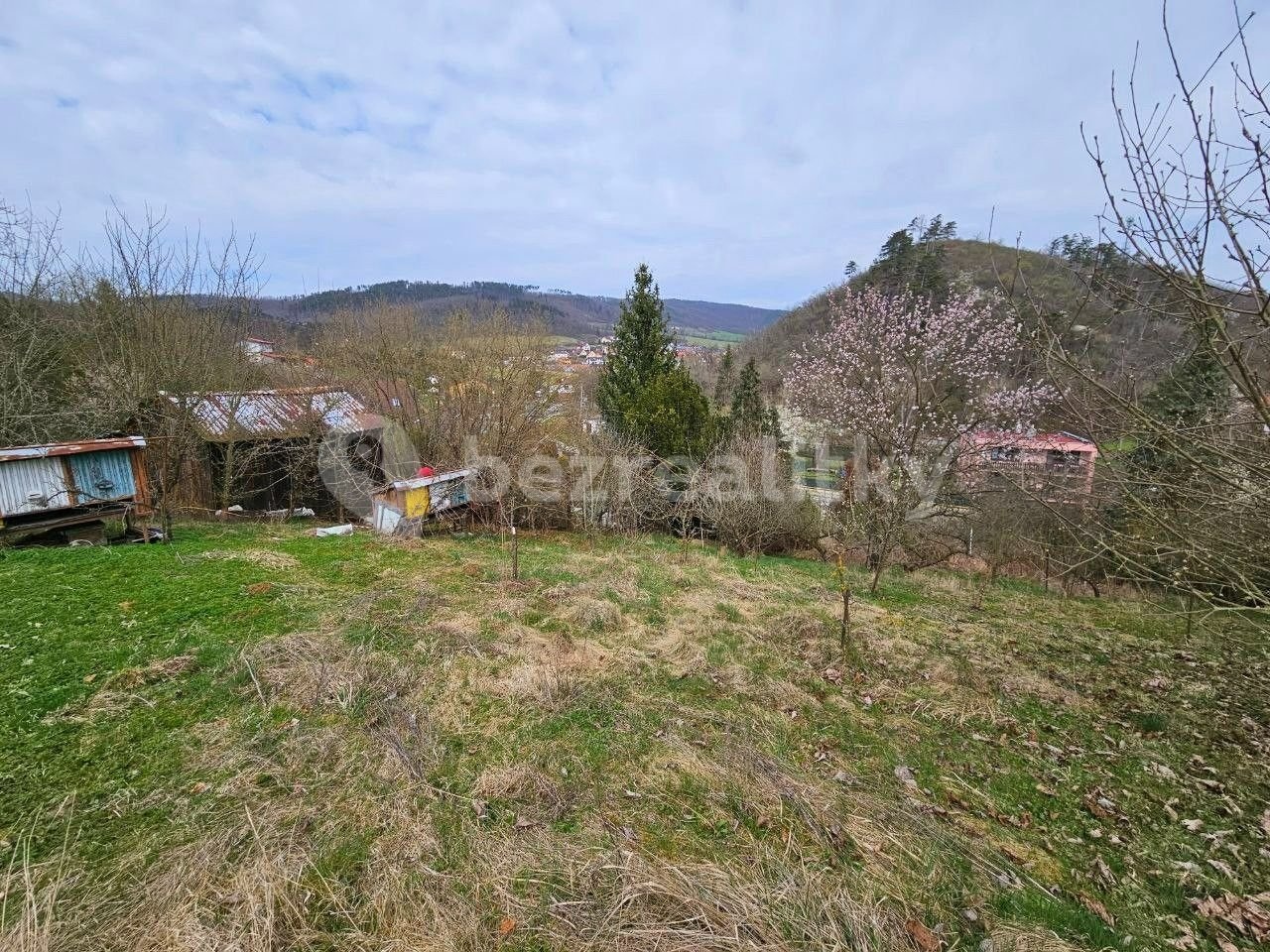1744103294-kejzfgmzbv-photo-2025-04-08-10-55-29-282-29