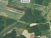 Prodej - pozemek, zemědělská půda, 26 516 m²