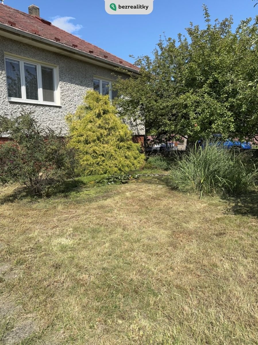 1732123884-apjbysqtzy-img-6654