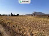 Prodej - pozemek pro bydlení, 2 884 m²
