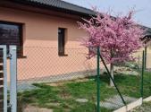 Prodej - dům/vila, 130 m²