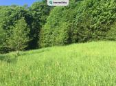 Prodej - pozemek, trvalý travní porost, 3 100 m²
