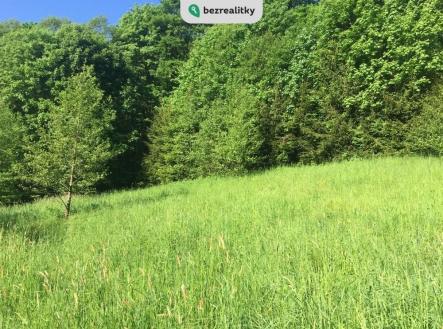Prodej - pozemek, trvalý travní porost, 3 100 m² obrázek