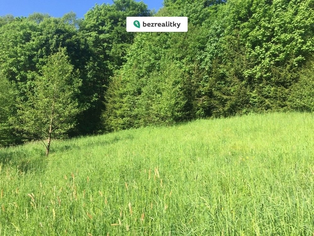 1775369533-bwqtiorkez-img-2869-282-29