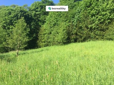 1775369533-bwqtiorkez-img-2869-282-29 | Prodej - pozemek, trvalý travní porost, 3 100 m²