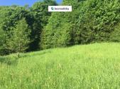 Prodej - pozemek, trvalý travní porost, 3 100 m²