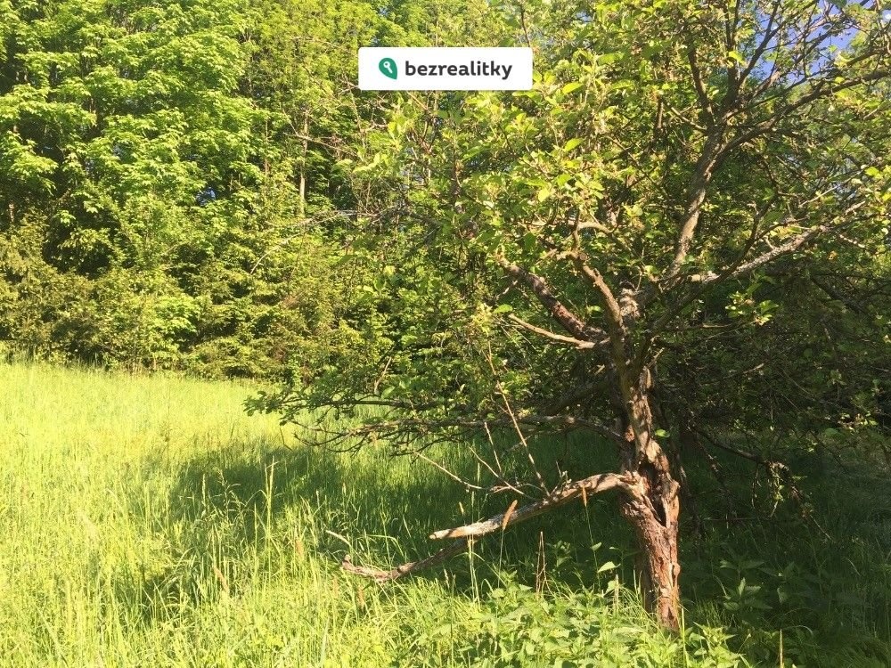 1775369547-cqdgttymyz-img-2870-281-29