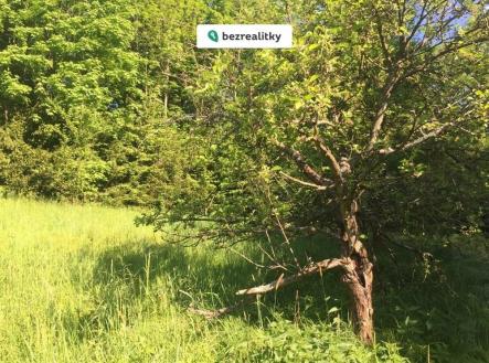 1775369547-cqdgttymyz-img-2870-281-29 | Prodej - pozemek, trvalý travní porost, 3 100 m²