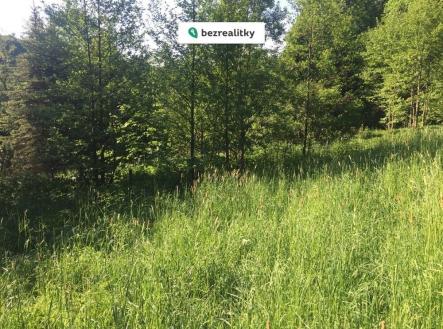 1775369559-fseoetnvwa-img-2871 | Prodej - pozemek, trvalý travní porost, 3 100 m²