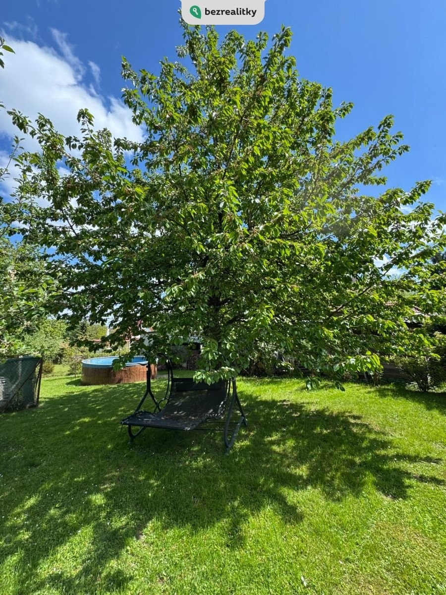 1747044016-esqqysdmhh-img-9794