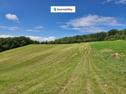 1733432508-mpzmvreeff-20240708-131351 | Prodej - pozemek, trvalý travní porost, 1 672 m²