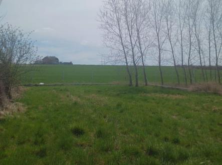1744613752-jeedohzskw-pozemek4 | Prodej - pozemek pro bydlení, 1 300 m²