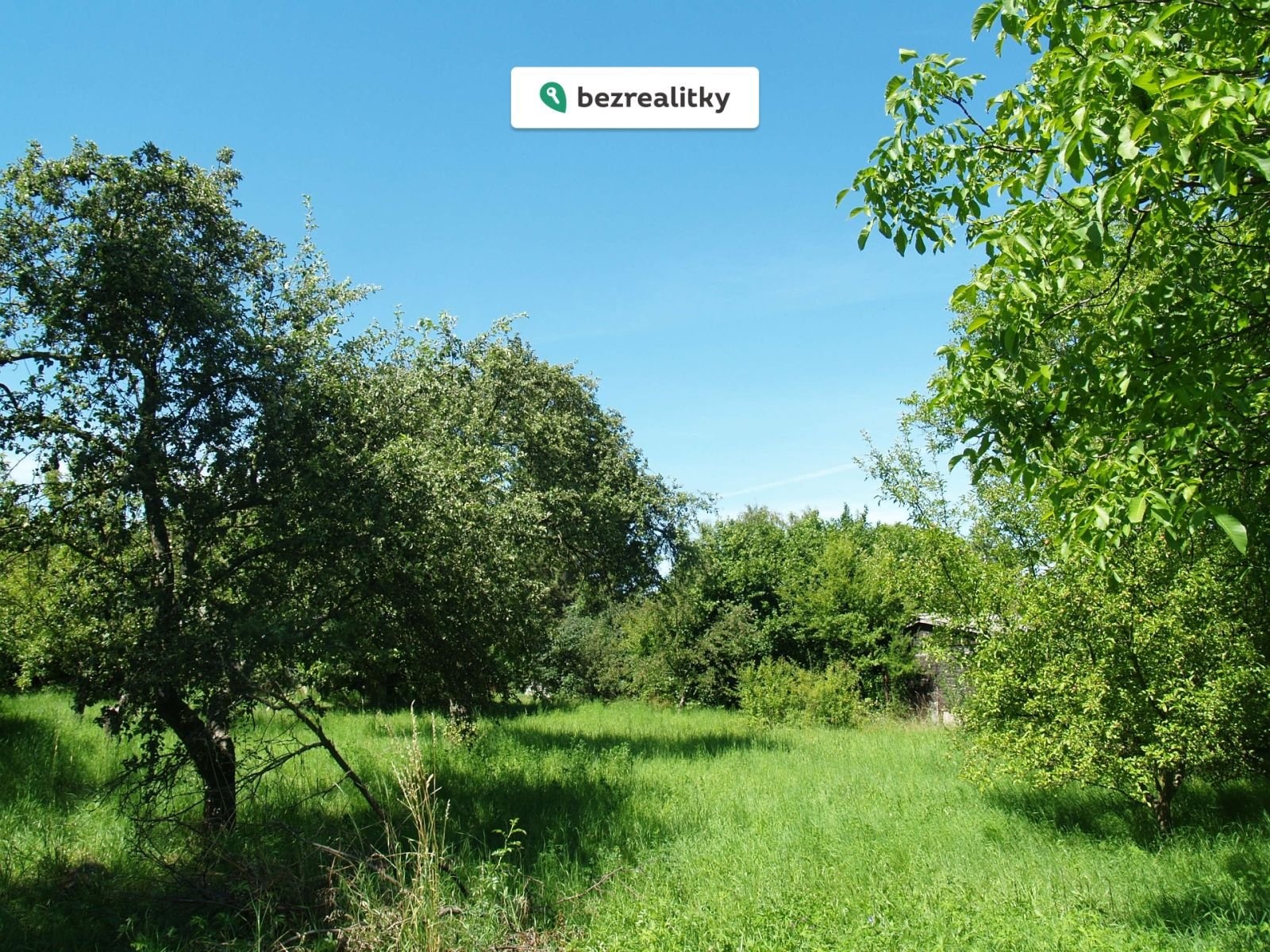 1750144800-rfasnvymsw-p1010955