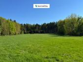Prodej - pozemek, trvalý travní porost, 16 750 m²