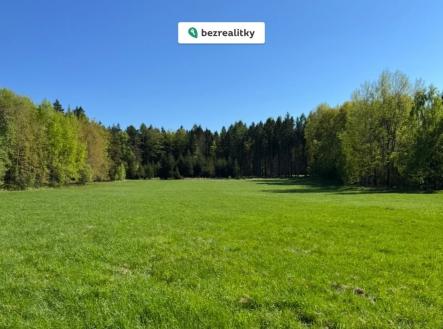 Prodej - pozemek, trvalý travní porost, 16 750 m²