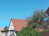 Prodej - dům/vila, 100 m²