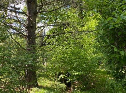 1773750373-tktpsrrccl-img-3732 | Prodej - chata/rekreační objekt, 27 m²