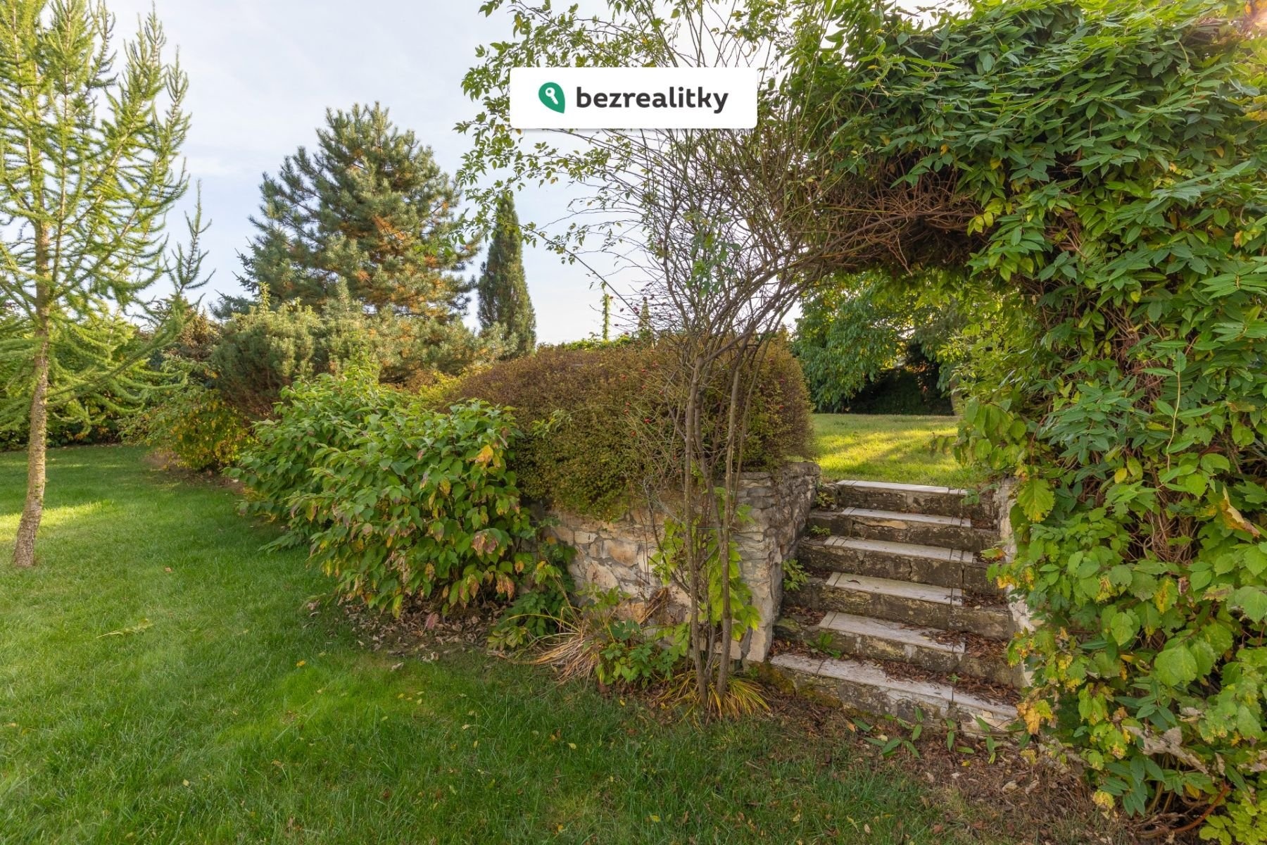 1753013712-qcvwxcyxlx-7p2a3663