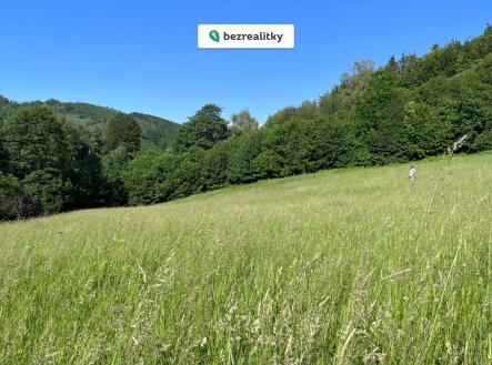 1753083411-gykbwllyin-b | Prodej - pozemek, trvalý travní porost, 10 000 m²