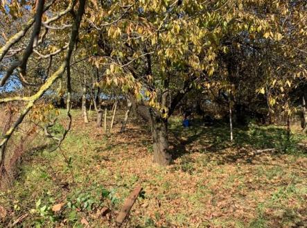 Prodej - pozemek pro bydlení, 571 m² obrázek