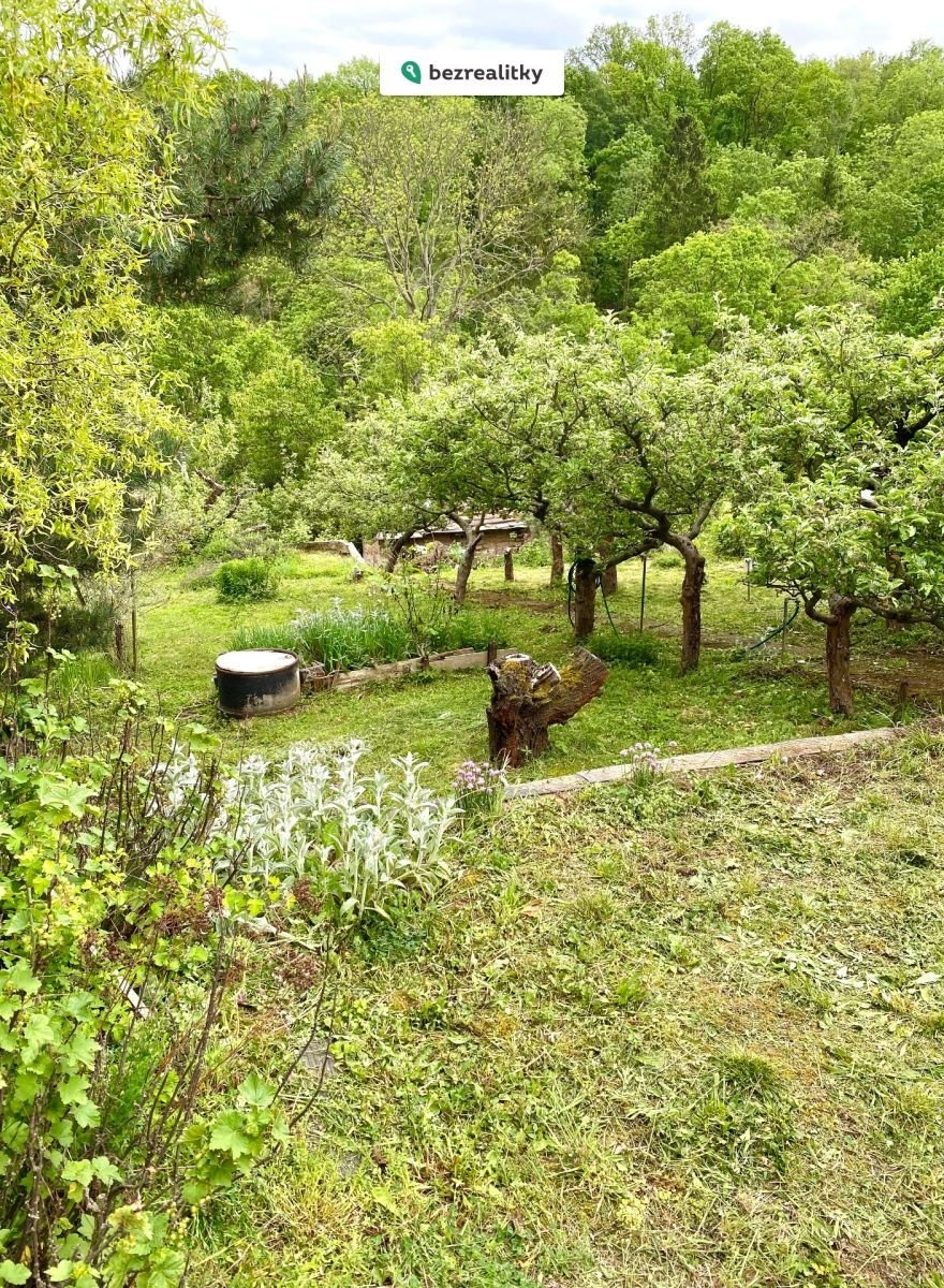 1749384138-qrggigrlri-img-0503