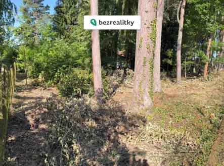 1757950792-fhgbfynyrl-0462 | Prodej - pozemek pro bydlení, 3 385 m²