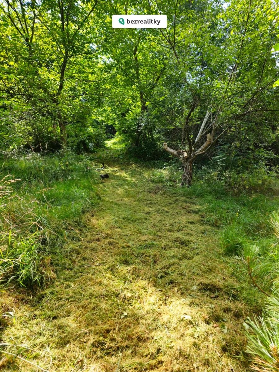 1760707161-zzckywcpic-img-8224