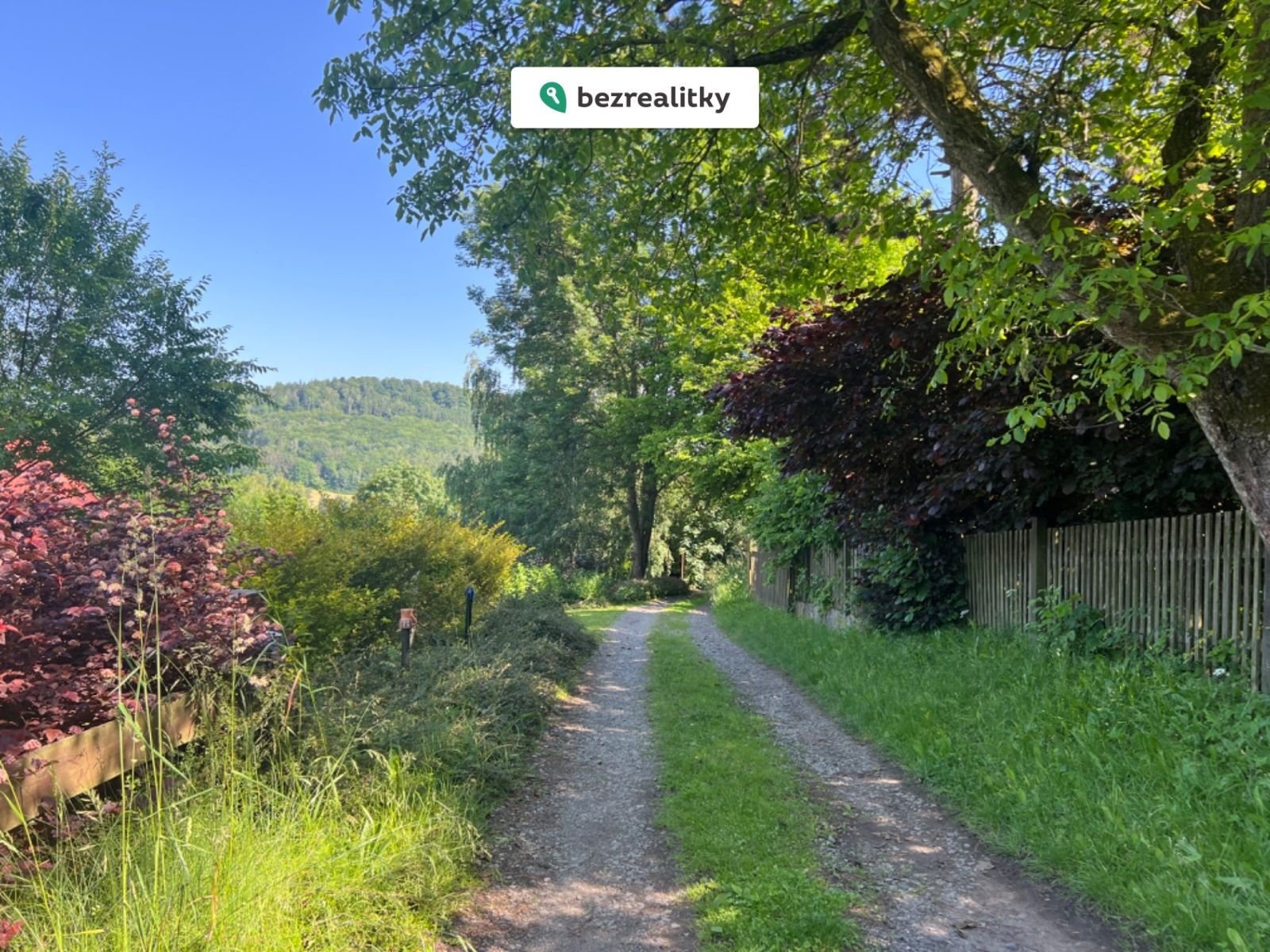 1761214531-bywmzdqfod-img-8519