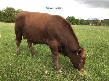 1762417702-img-0337 | Prodej - pozemek, ostatní, 420 000 m²