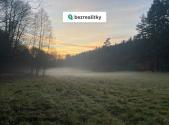 Prodej - pozemek, trvalý travní porost, 2 300 m²