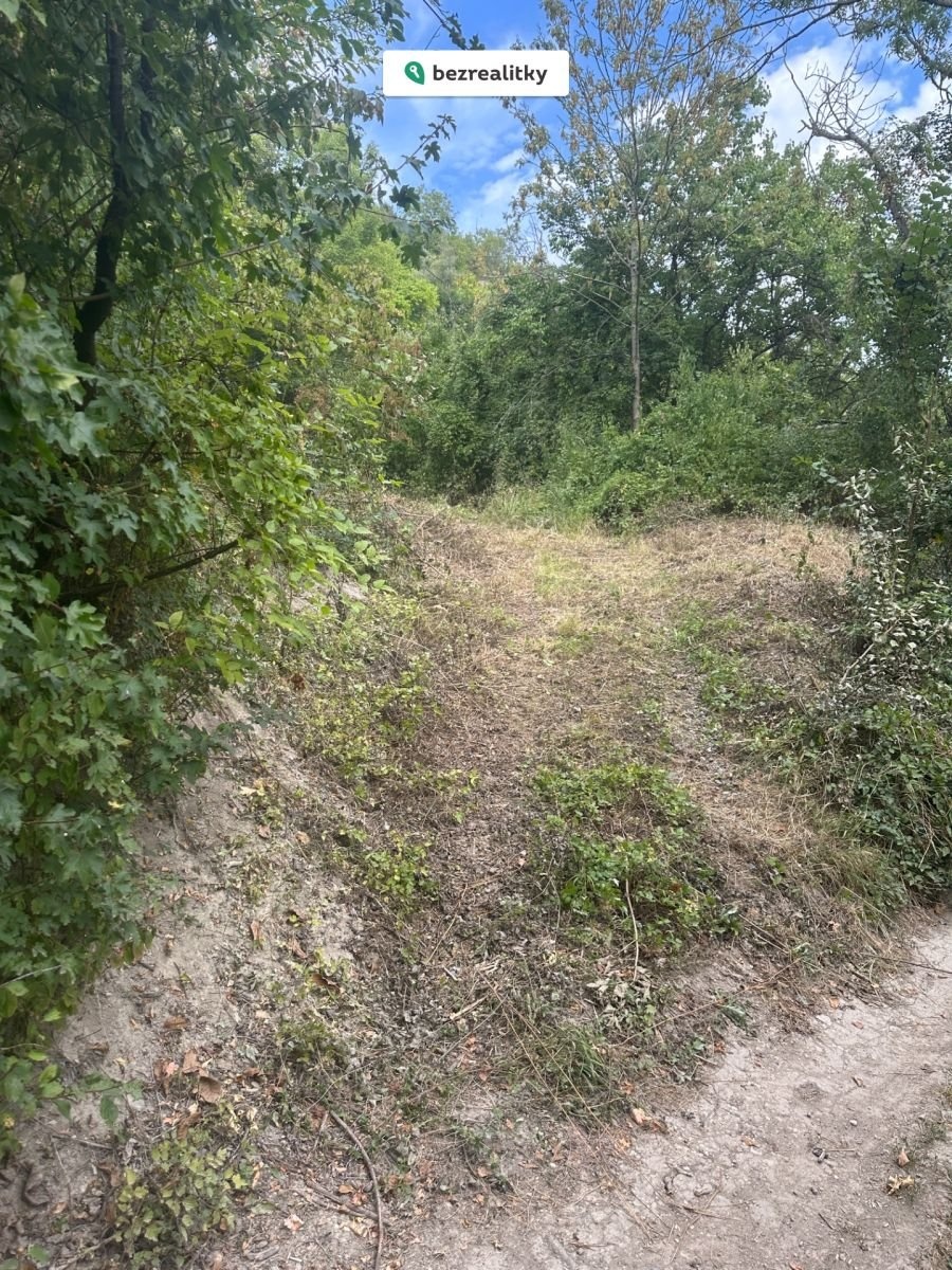 1763065464-fvemjhdnvq-img-4081