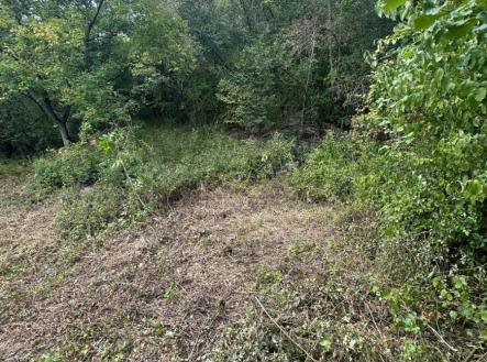 1763065469-ujkijpfwry-img-4087 | Prodej - pozemek, ostatní, 504 m²