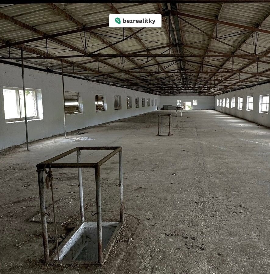 1763473274-stdedttdof-209011495-282-29