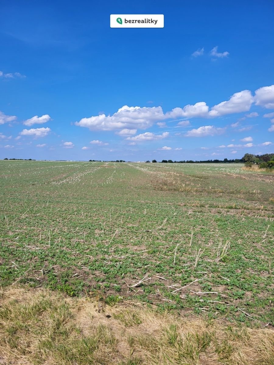 1762986103-xbroszxhho-m-c4-9bcholupy6