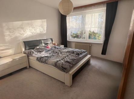 1766003915-cawpetgmpi-img-2892 | Prodej bytu, 2+1, 60 m²