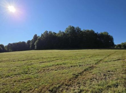 1764327800-ypsqwqzlrd-facdb36f-5981-4471-9844-55225a9ba70b | Prodej - pozemek pro bydlení, 4 441 m²