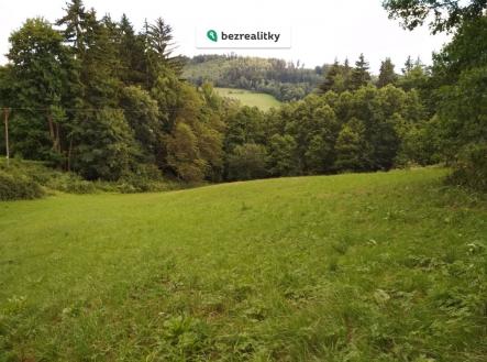 1764546474-kujggbvhky-img-20180630-174520 | Prodej - pozemek pro bydlení, 4 183 m²