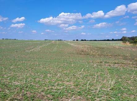 1764635052-khpkbnqyxf-20250901-133940 | Prodej - pozemek pro bydlení, 3 488 m²