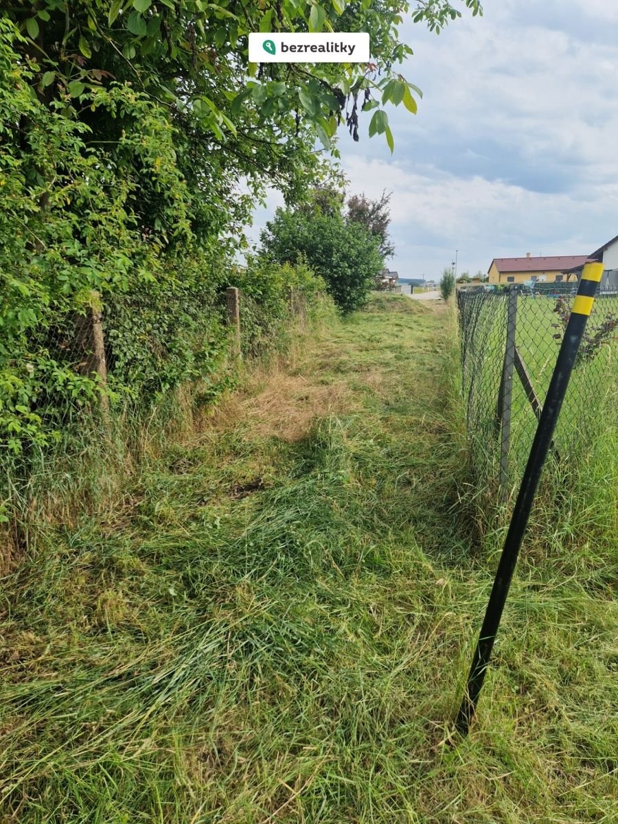 1764866110-qkhfccxpjt-20240609-172930