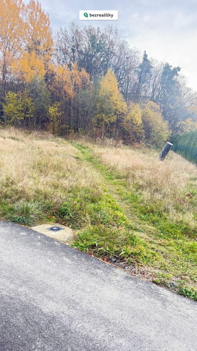 1762086585-jjxsxhbzdv-img-5990