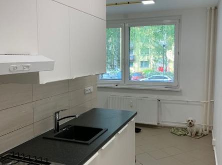 1765896824-zzakrevrxb-kuchynokno | Prodej bytu, 2+1, 58 m²