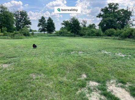 1767167057-qaozoehghj-7cdfa4b6-3fa4-48a2-b5ae-5379bddb306e-1-105-c | Prodej - pozemek, les, 8 000 m²