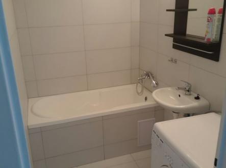 1767416609-dszeuuardu-koupelna | Prodej bytu, 1+1, 38 m²