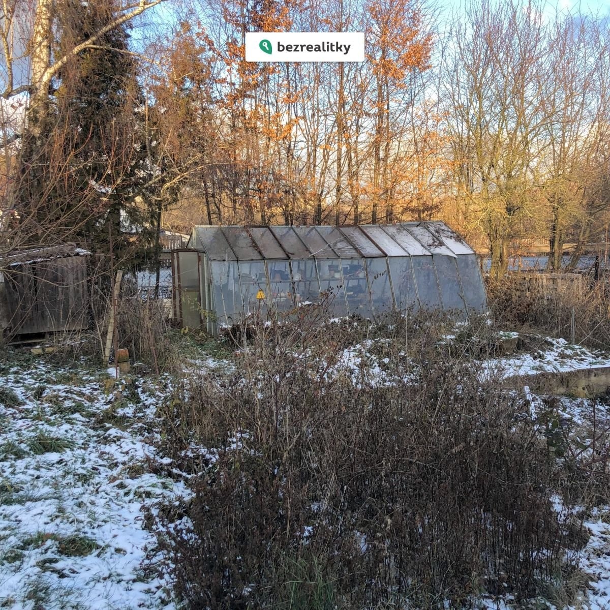 1767443433-wdwtqzclis-img-1356