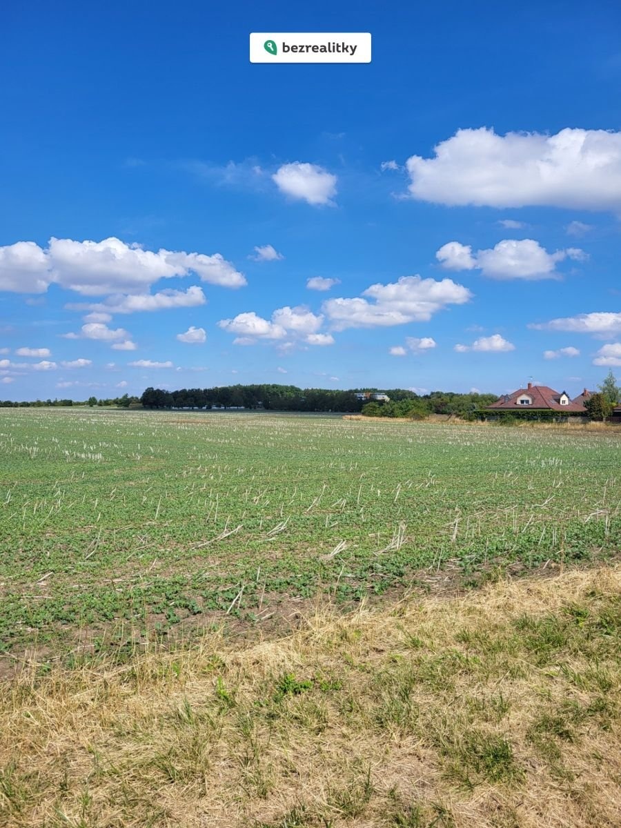 1767824923-yuwjfystkk-m-c4-9bcholupy3